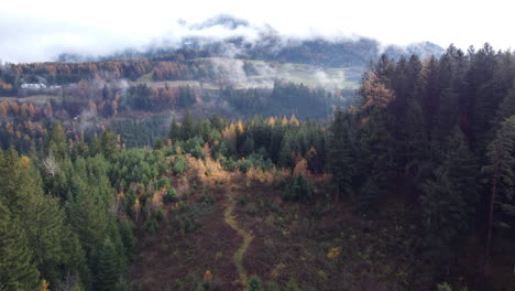 Pine-Tree-Forested-Mountain-Slope-on-Misty,-Cloudy-Day,-Forward-Aerial