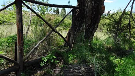 Wooden-farm-fence-next-to-an-old-tree-and-grassy-veld-bushes-and-thorn-trees,-this-is-alongside-the-gravel-road-of-Camelroc-farm,-South-Africa