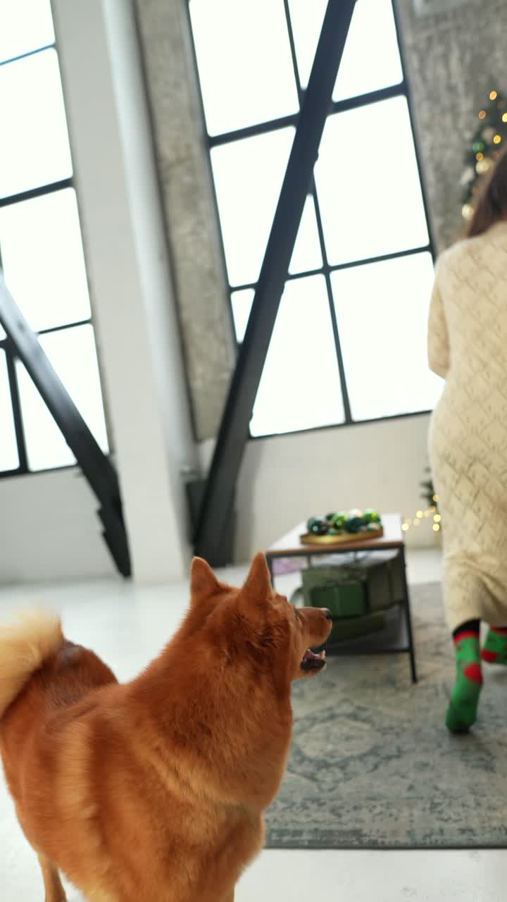 크리스마스 개와 주인