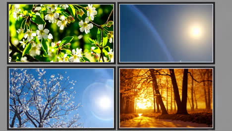 the four seasons