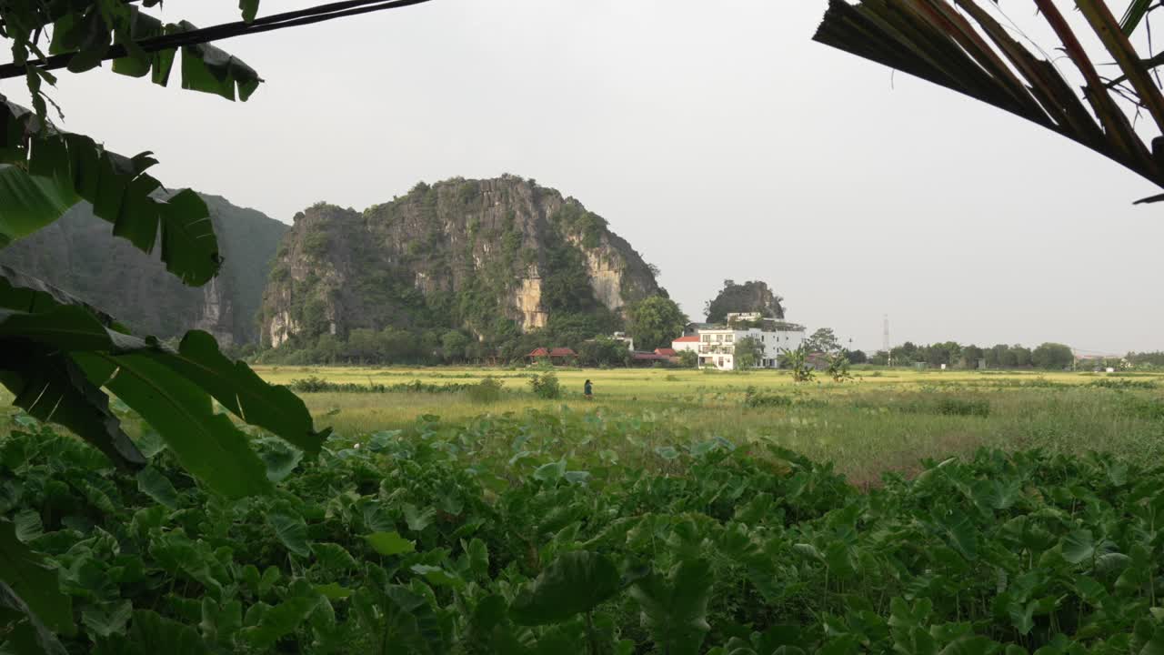 Vietnam rural countryside nature landscape Ninh Binh province peaceful Southeast Asia