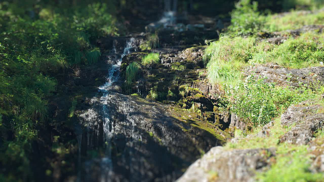 A small stream cascades over the forest-covered, green, steep cliffs of the Naeroy Fjord