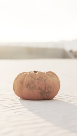 a single pumpkin