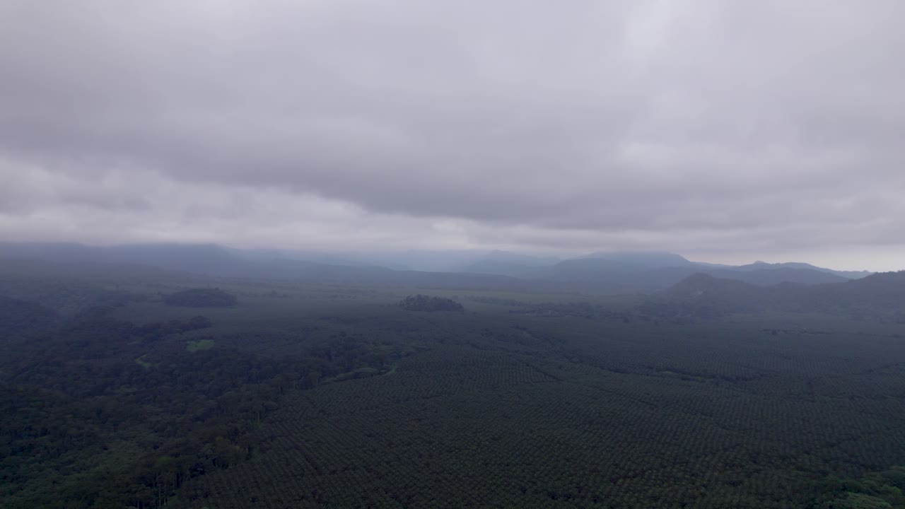 Pico Cão Grande, São Tomé — a dramatic volcanic plug rising from lush rainforest in Obô Natural Park, an iconic African landmark