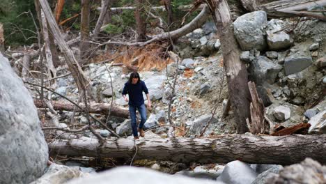 an adult caucasian man walking along a fallen tree over a flowing stream in the forest on a nature hike