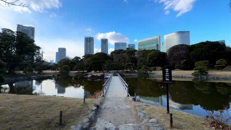 a serene japanese garden bridge with cityscape backdrop, hama rikyu gardens, tokyo
