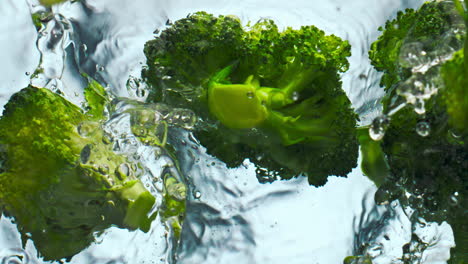 green broccoli dropped water on white background. ripe cabbage splashing closeup