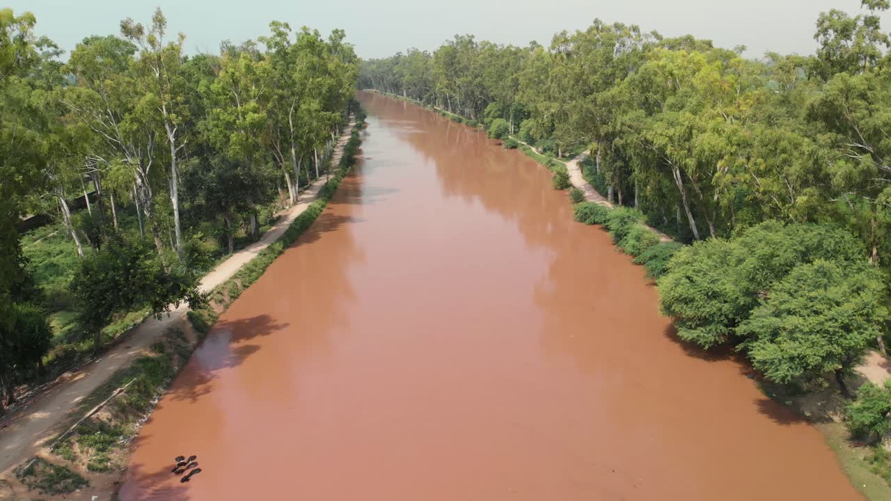 Veduta aerea di un fiume fangoso che scorre in mezzo agli alberi nella provincia del Punjab