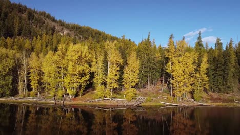 árboles-Escénicos-De-Otoño-Junto-Al-Lago-En-Un-Día-De-Pájaro-Azul,-Tiro-De-Parralax-De-Drones