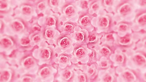 fondo de bucle de flor rosa rosa