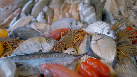 exposição de peixes frescos e frutos do mar