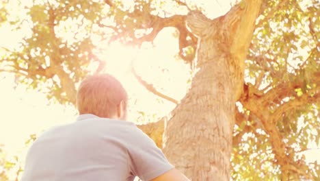 handsome man taking a picture of tree