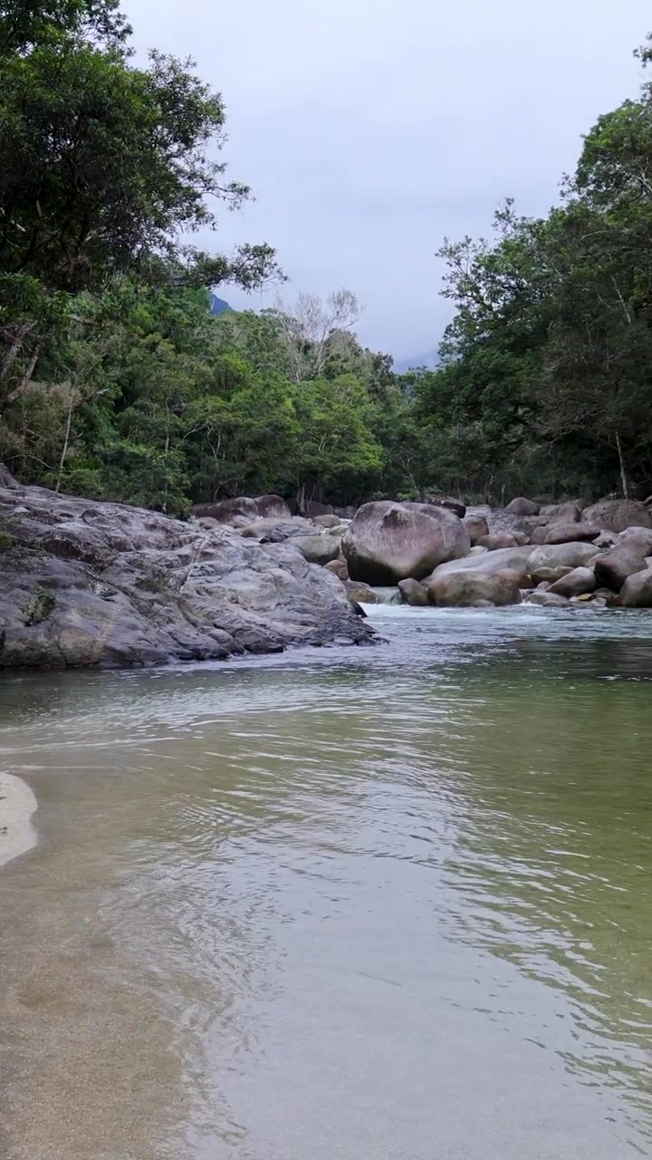 Un fiume sereno scorre attraverso una lussureggiante foresta pluviale tropicale e rocce alla luce naturale del giorno, Port Douglas.