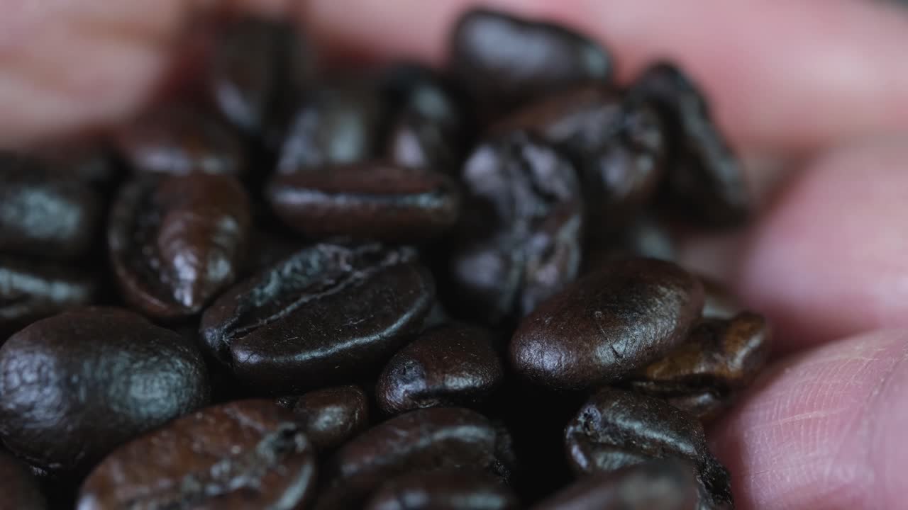 아라비카 김 콩 을 손 으로 가까이에서 드러낸 것