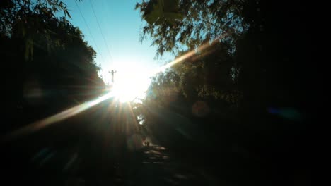 Cámara-Lenta-De-Destello-De-Lente-A-Través-De-árboles-Desde-Un-Sendero