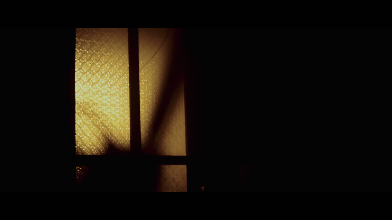 Night Window Silhouette