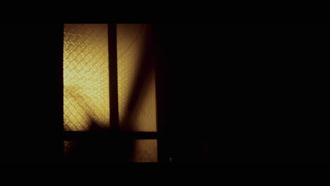 night window silhouette