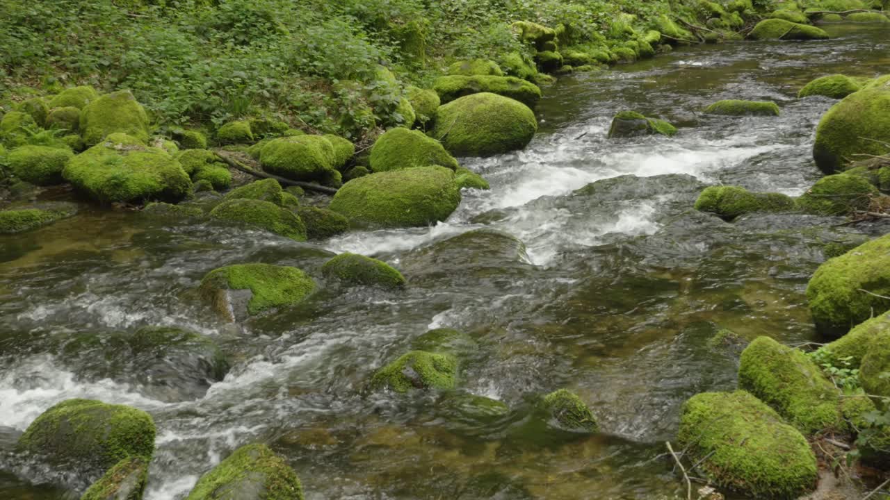 Cascading water of beautiful stream in Black forest creating soothing scene