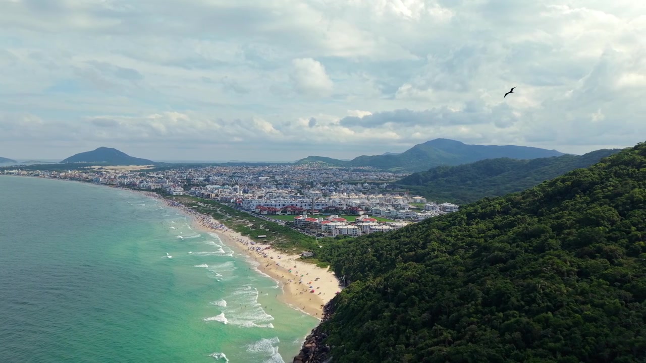 Cảnh quay drone toàn cảnh gần bãi biển Playa Ingleses Norte với những chú chim đang bay trong môi trường ven biển, Santa Catarina, Brazil
