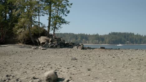 the wonderful scenic view near the shore in penrose state park washington surrounded by green trees under the bright blue sky - wide shot