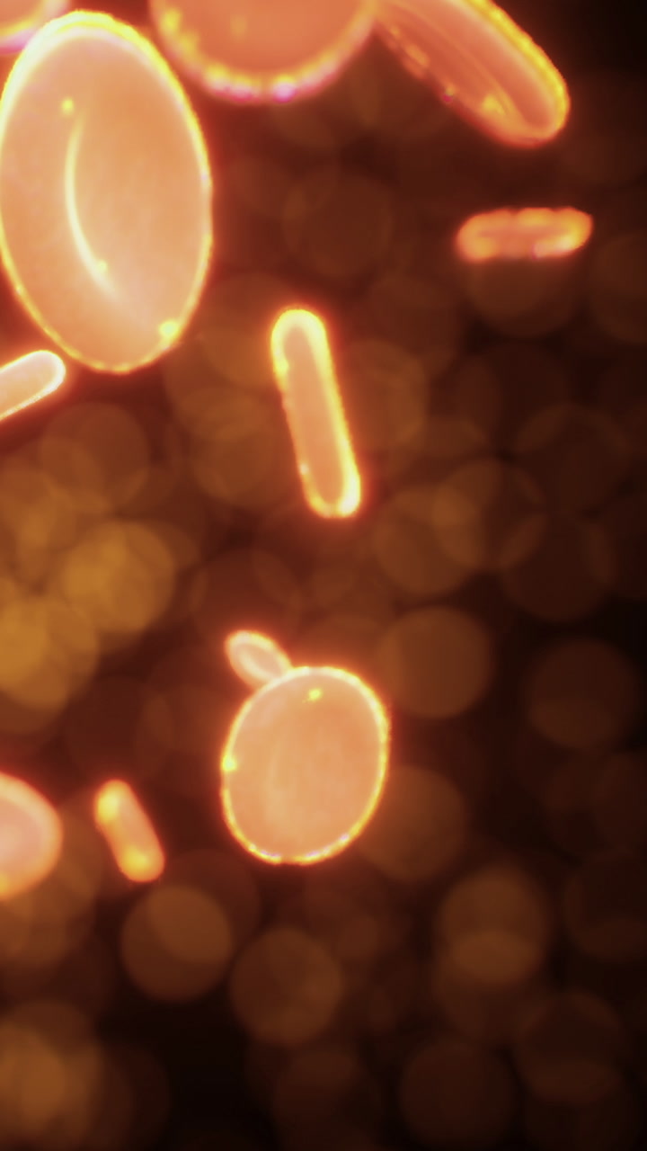 Bubbles float in a dark area illuminated with bright light
