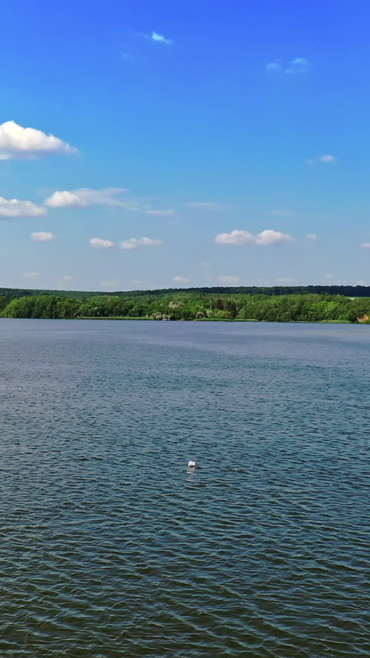 Panoramic view of beautiful river. Blue water on green nature background in bright daytime. Flight over the river. Aerial view. Vertical video