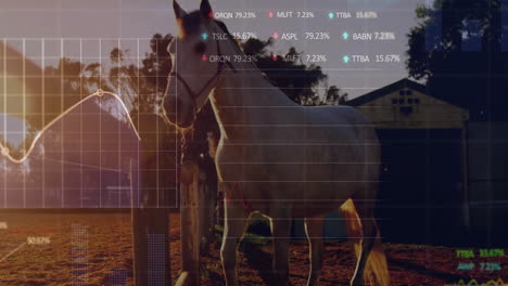 stock market data animation over horse standing in rural setting