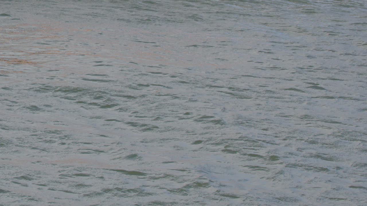 Calm ocean water texture with subtle ripples, soft natural lighting, and steady camera perspective