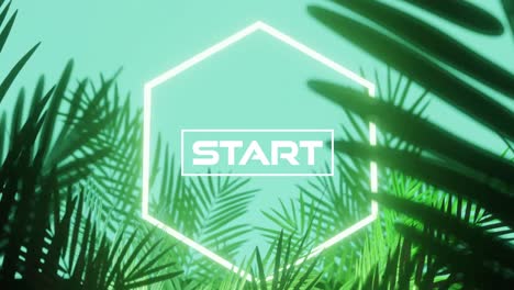 Animation-of-start-text-in-and-hexagon-in-white-neon,-over-palm-leaves-on-aqua-blue