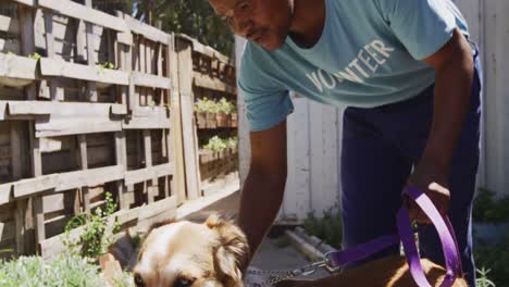 dog in a shelter with volunteer