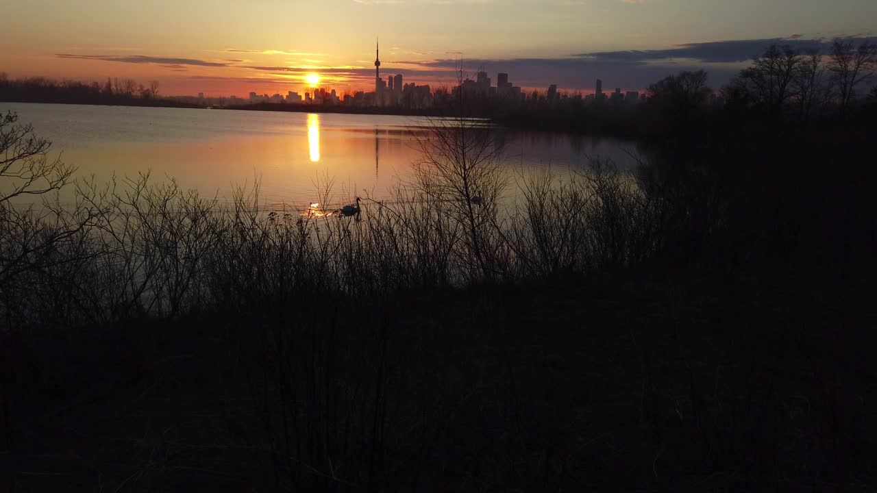 Laaja auringonlaskunäkymä kahdesta valkoisesta joutsenesta uimassa järvellä Tommy Thompson Parkin kosteikkoalueella.