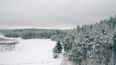 Luftaufnahme-Eines-Zugefrorenen-Sees-Mit-Verführerischem-Blick-Auf-Einen-Verschneiten-Wald-Bei-Bewölktem-Wetter