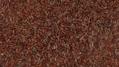 close-up of rotating on the turn table raw red rice. view from the top.