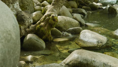 Beautiful-natural-scene-by-creek,-water-among-stones
