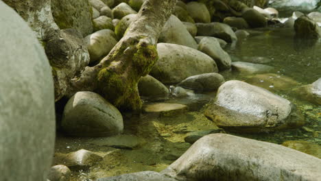 beautiful natural scene by creek, water among stones