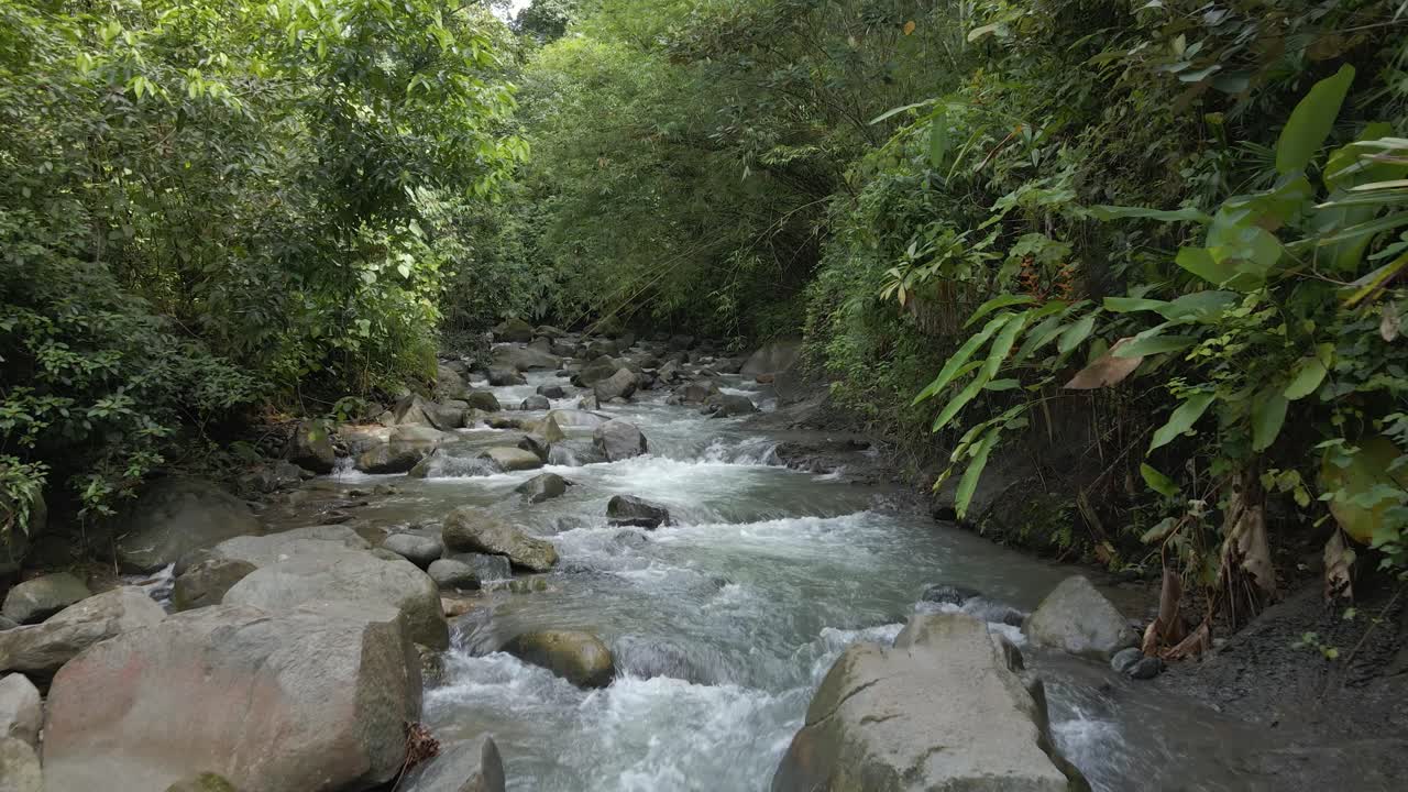 Ripresa con drone che sorvola un fiume in una fitta foresta pluviale su un'isola tropicale.
