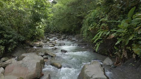 drone shot flying over a river in a dense rainforest on a tropical island