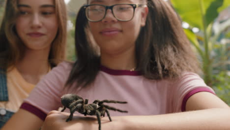 teenage girls playing with tarantula spider friends taking photos using smartphone sharing zoo excursion on social media having fun learning about arachnids at wildlife sanctuary 4k