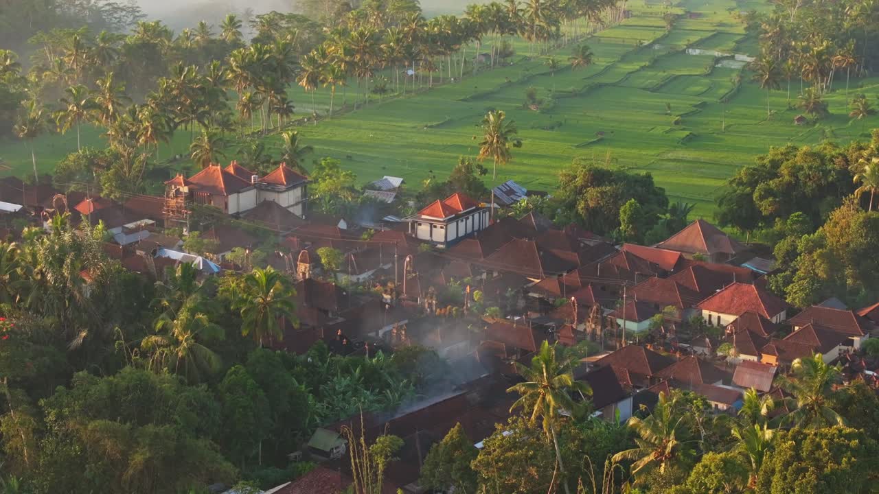 Veduta aerea della valle delle terrazze di riso di Mancingan all'alba con nebbia, sagome di palme e terreni agricoli a Gianyar, Bali