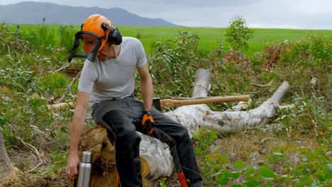 lumberjack relaxing on tree stump 4k