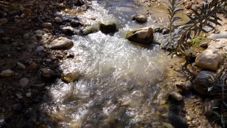 Beautiful-winding-freshwater-stream-flowing-through-remote-wilderness-countryside-of-Wadi-Ghuweir-canyon-in-Jordan