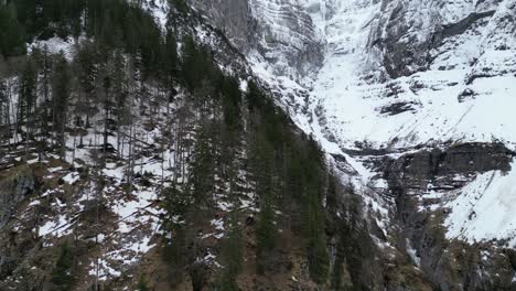 Klöntalersee-Switzerland-Glarus-great-view-of-forest-growing-on-rocky-mountainside-valley