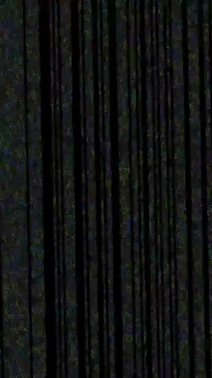 Digital Glitch Effect with Vertical Lines and Noise