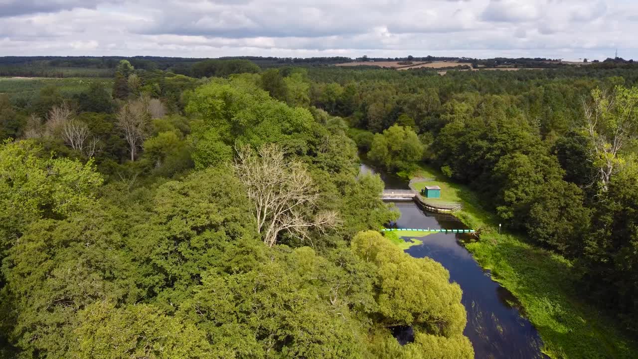 vista aérea del pequeño río ouse escondido en los árboles cerca de thetford en el reino unido