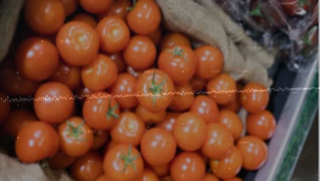 animación del procesamiento de datos en primer plano de tomates frescos en una tienda de comestibles.