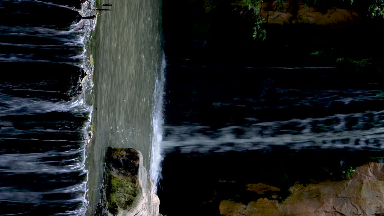 вертикальное видео: небольшой водопад, поток пресной воды
