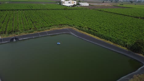 cinematic shot of grape vineyards agricultural field irrigation pond and green landscape, india