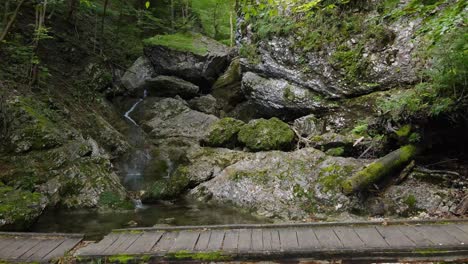 small waterflow in the middle of the forest with a beautiful path across the small river