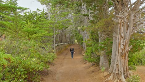 Rear-wide-establishing-shot-of-woman-wondering-in-beautiful-Tenerife-nature-path