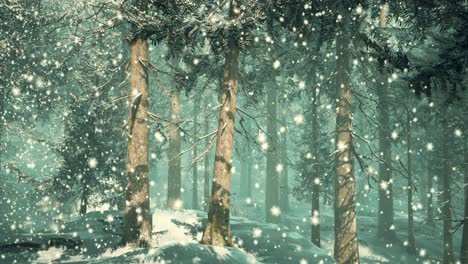 heavy-snowstorm-in-conifer-forest